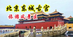 大鸡巴艹在线观看免费高清中国北京-东城古宫旅游风景区